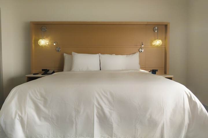 Radisson Hotel Atlanta Airport