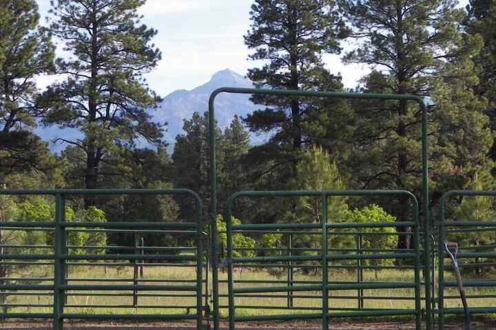 Elktrace Bed & Breakfast