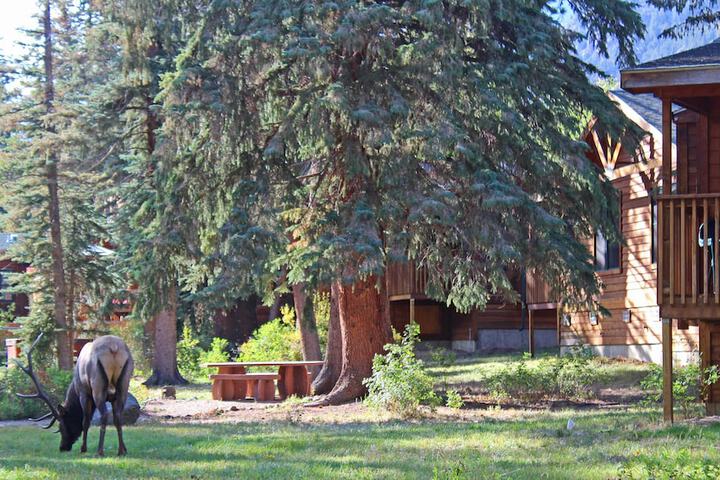 Property Grounds 15 of 15