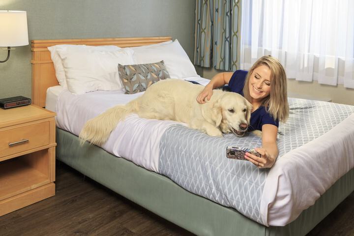 Pet Friendly 74 of 85