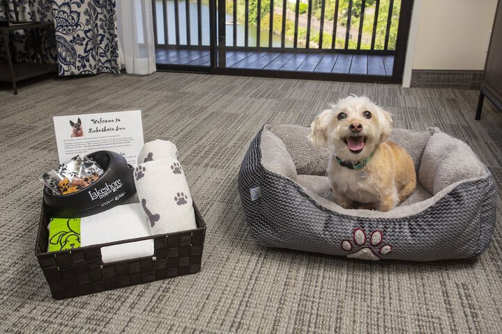 Pet Friendly 37 of 40
