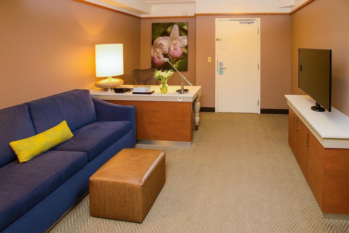 Hilton Garden Inn Rochester Downtown MN