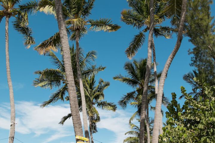 Beach 90 of 116