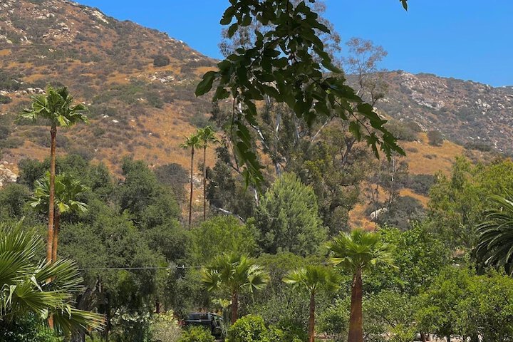 Bandy Canyon Ranch