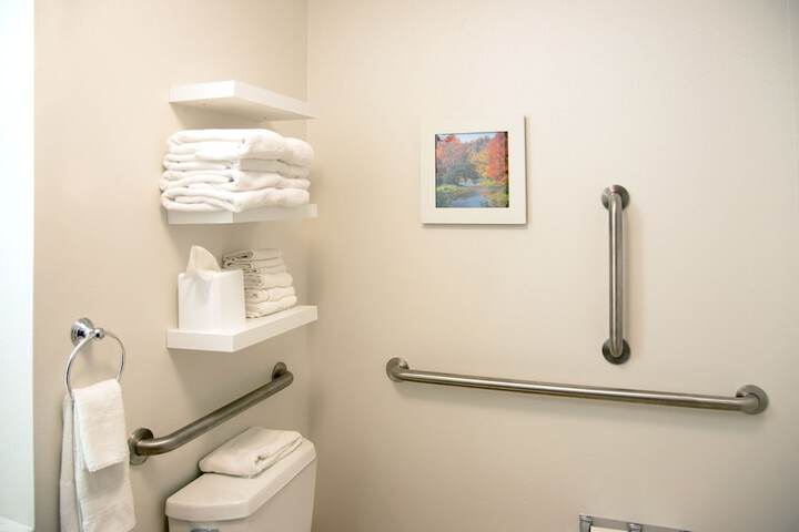 Hampton Inn Charleston-Southridge