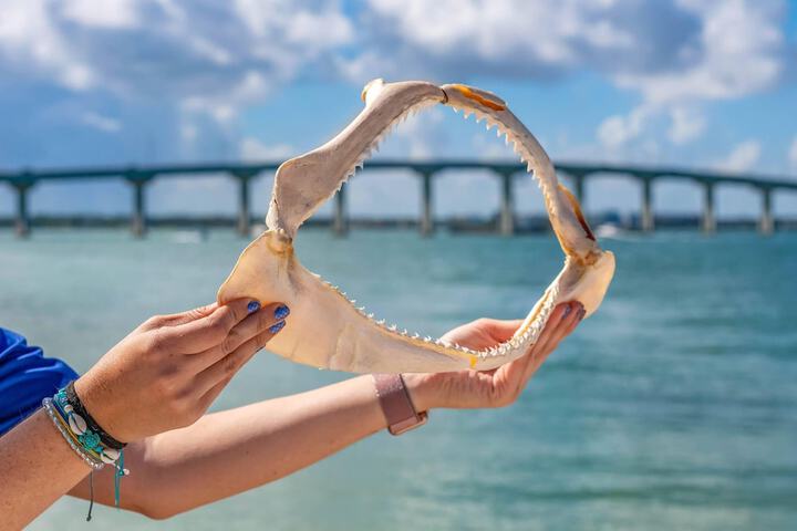 Dolphin Sands Clearwater Beach an Ascend Collection Hotel