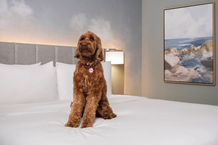 Hotel Indigo Long Island - East End by IHG