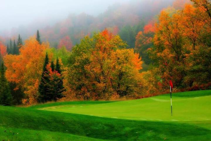Golf 40 of 50