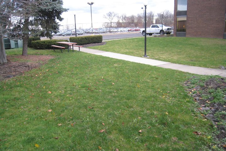 Property Grounds 43 of 44