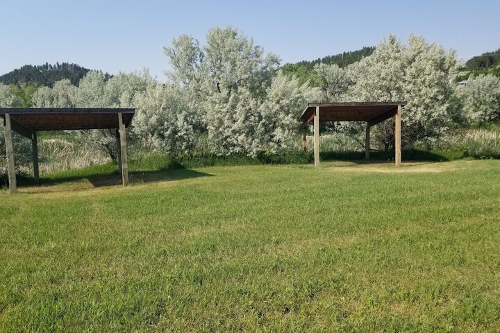 Suzies Camp