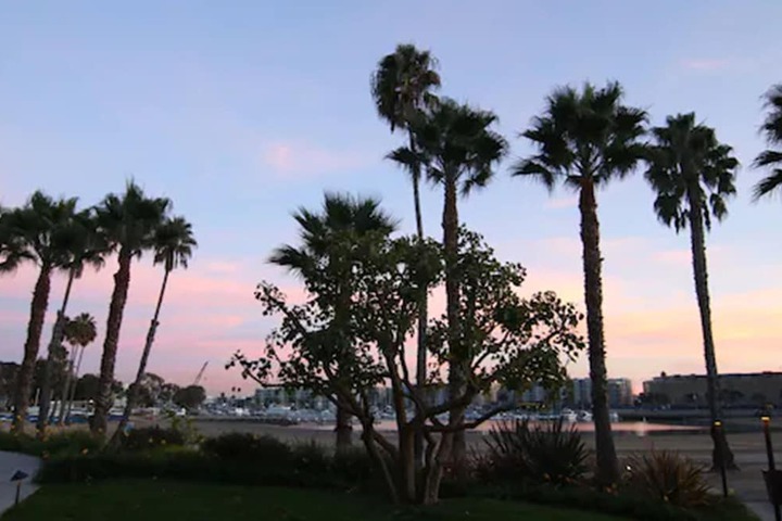 Hotel 10 of 65
