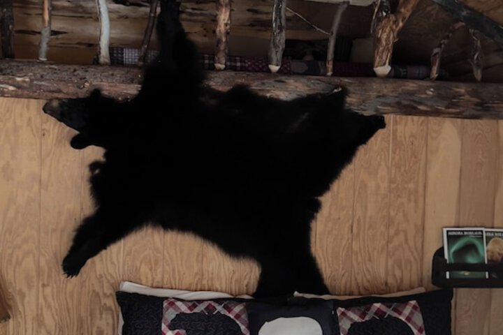 Wrangell Mountain Lodge