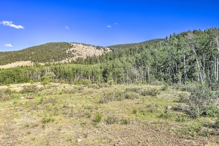 Rio Grande National Forest Cabin: Views & Hot Tub
