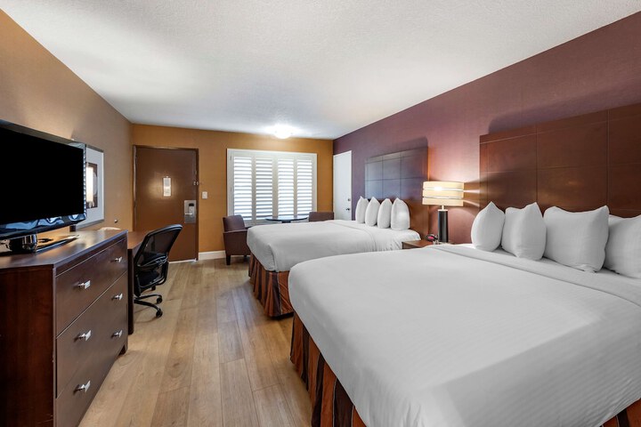 Room 31 of 54