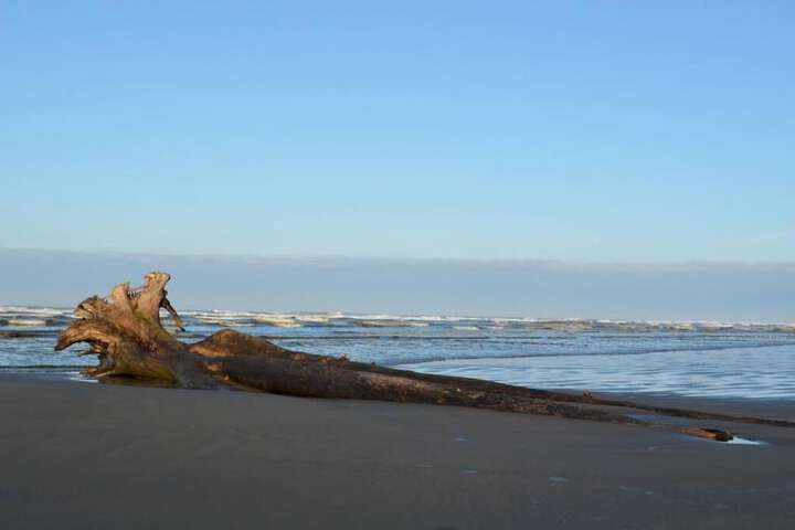 The Lowtide Motel