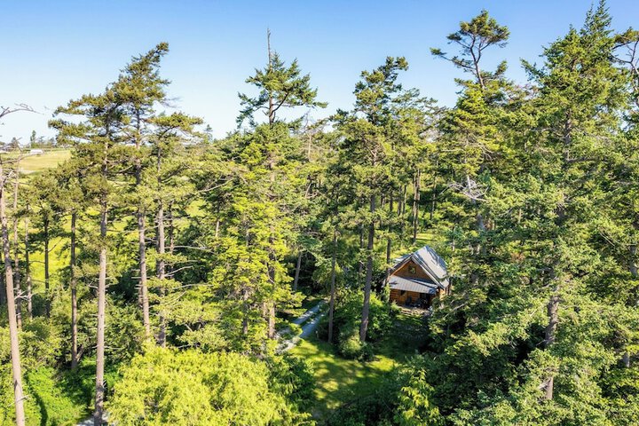 Penn Cove Overlook by Avantstay Cabin w / Views