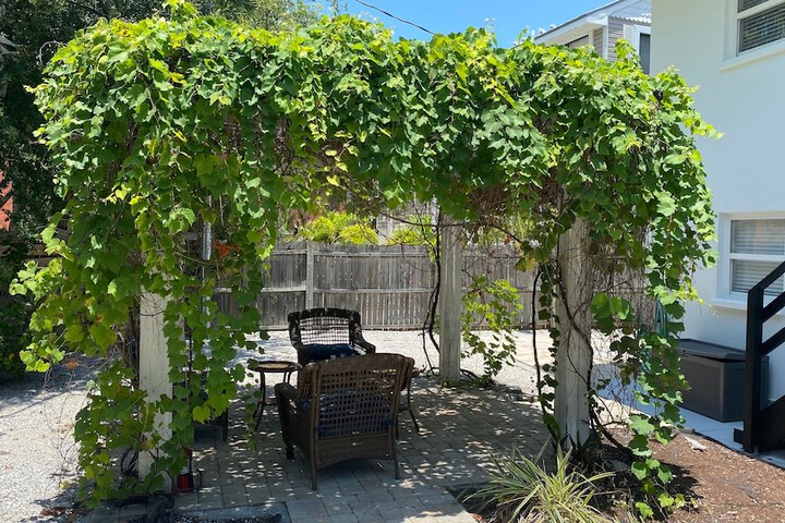Terrace/Patio 242 of 290