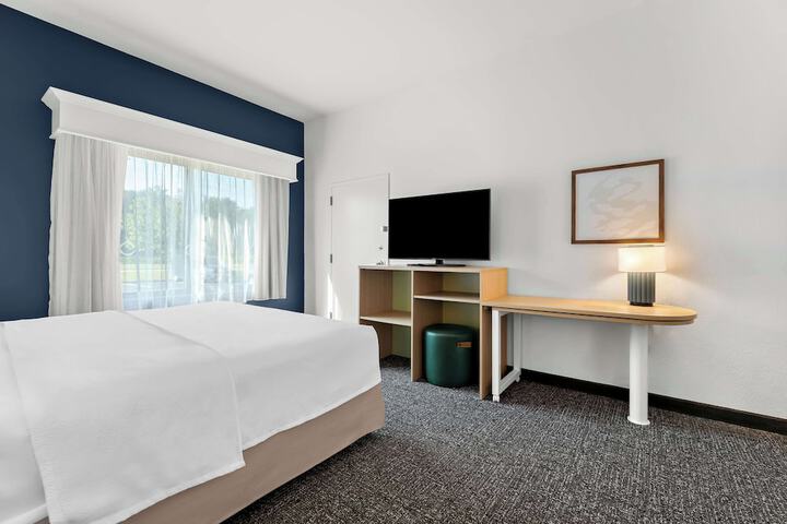 Spark by Hilton Tupelo