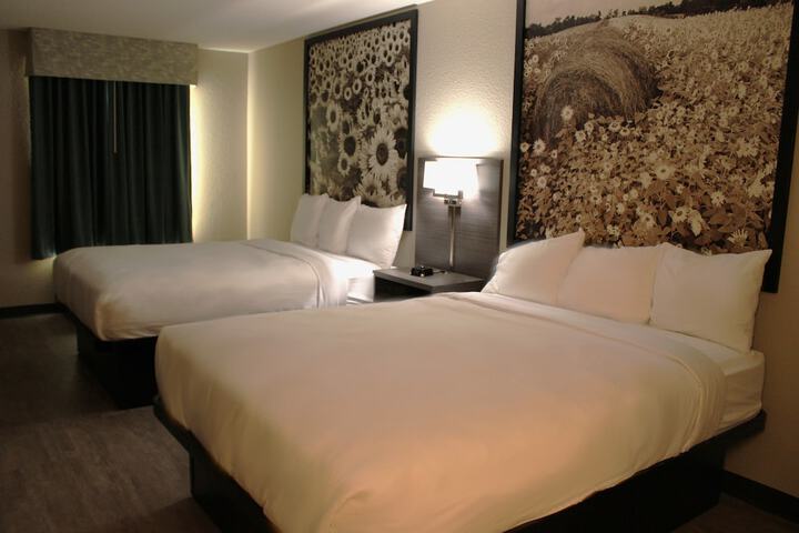 Boarders Inn & Suites