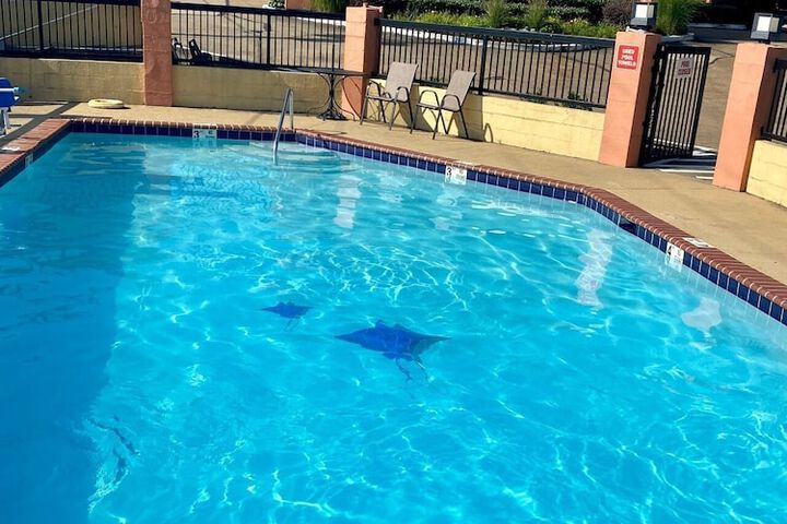 Pool 4 of 20
