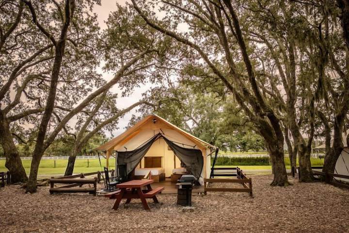Westgate River Ranch Resort & Rodeo