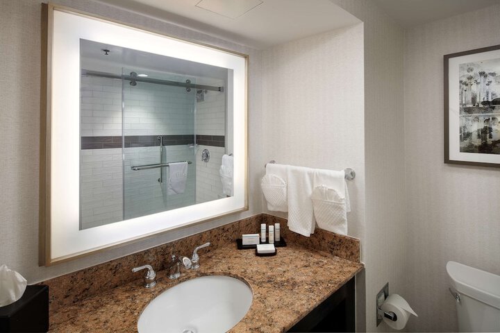 Embassy Suites by Hilton Tysons Corner