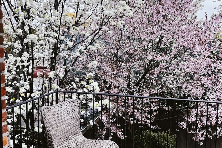 Terrace/Patio 96 of 96