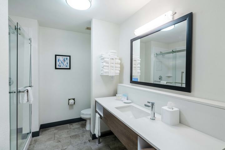 Hampton Inn Suites Opelika I85 Auburn Area