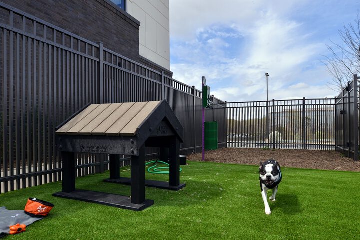 Pet Friendly 53 of 58