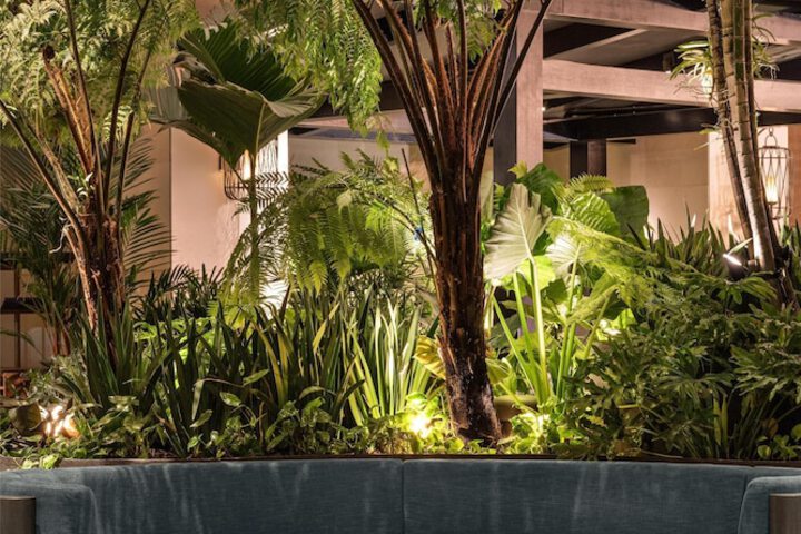 Signia by Hilton Diplomat Beach Resort