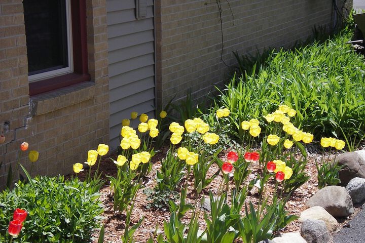 Terrace/Patio 52 of 59