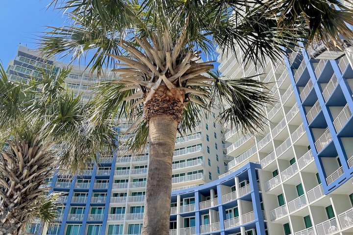 Avista Resort