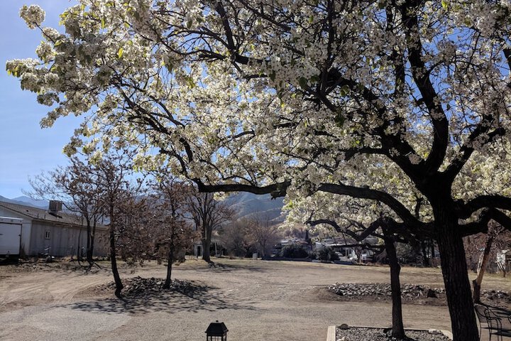 Property Grounds 27 of 31