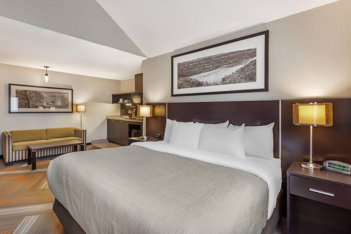 Quality Hotel
