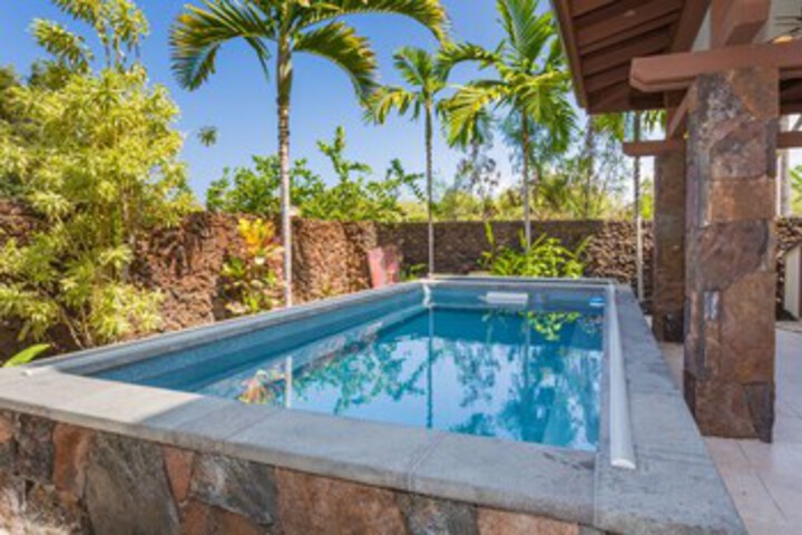Pineapple Hale - Four Bedroom Home