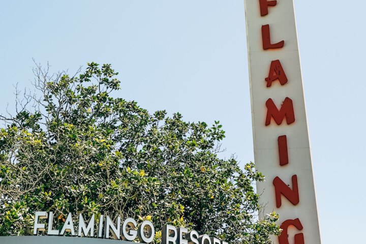 Flamingo Resort & Spa Santa Rosa Sonoma Tapestry by Hilton