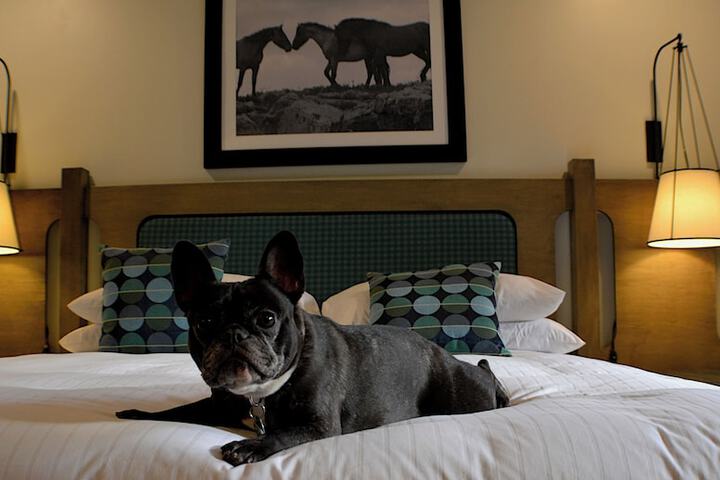 Hidden Valley Inn