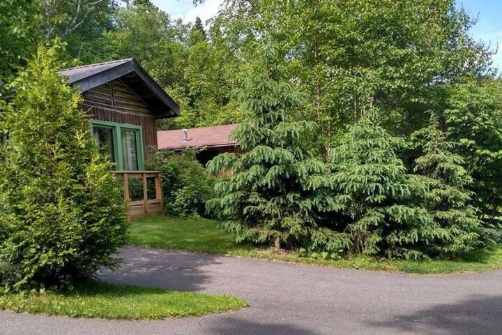 High Falls Motel & Cabins