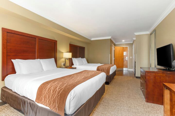 Room 14 of 42