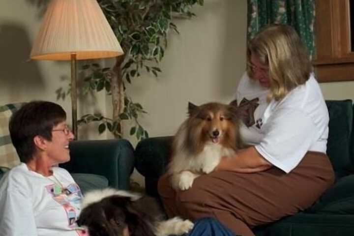 Pet Friendly 67 of 77