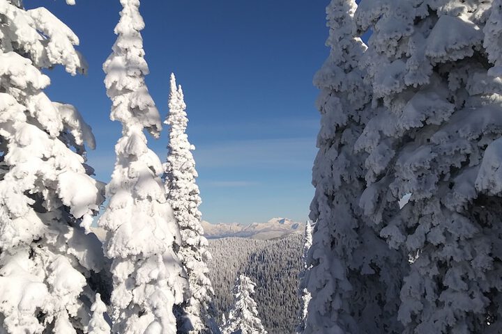 Chalet Motel Whitefish