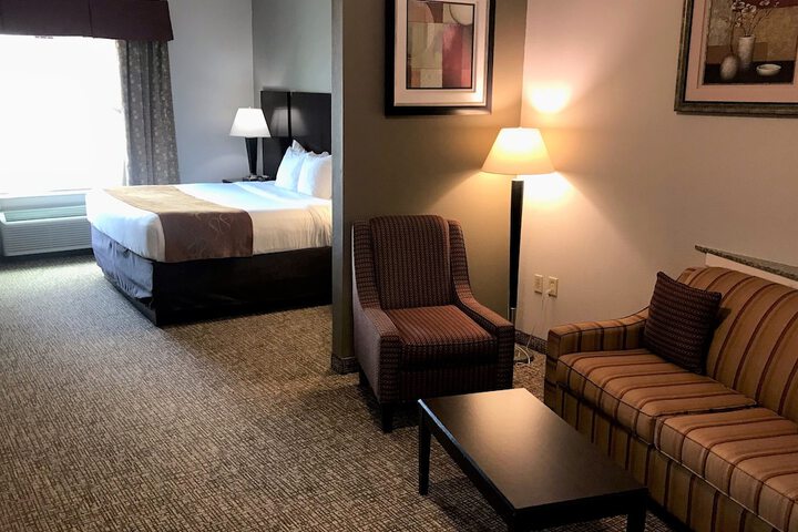 Comfort Suites Bay City East