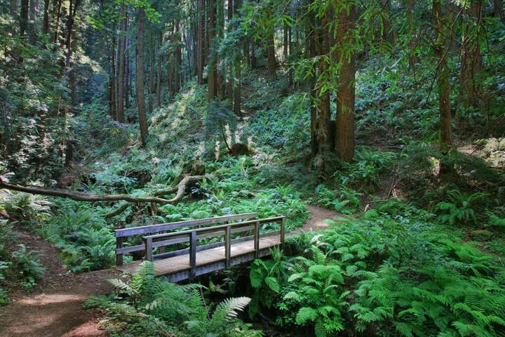 Ocean & Mountain View Home - Walk to Trails Beach Family Activities
