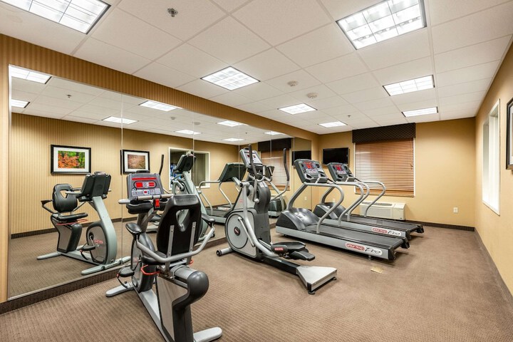 Health and Fitness 37 of 37