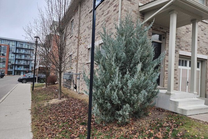 Beautiful Three Bedroom House