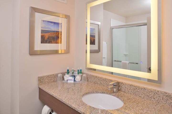 Holiday Inn Express & Suites Dearborn SW - Detroit Area by IHG