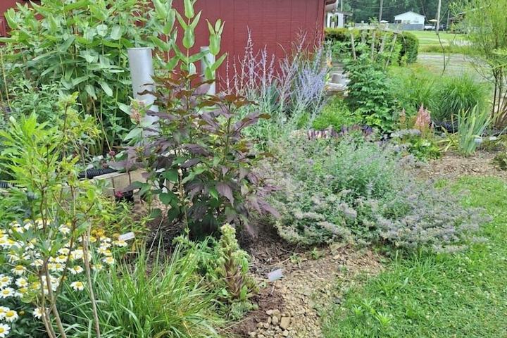 Hotel Exterior 56 of 58