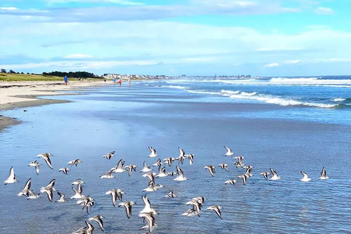 Beach 38 of 40