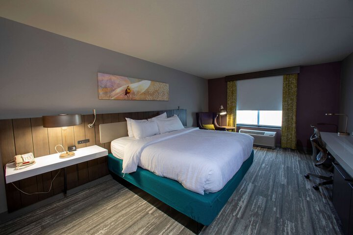 Hilton Garden Inn Rapid City