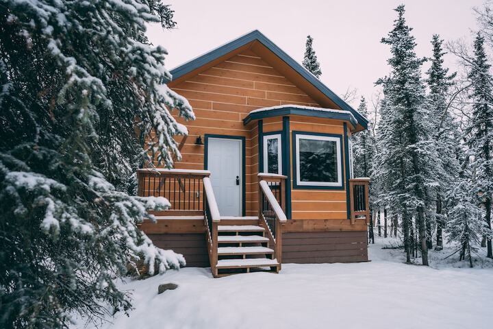 Denali Wild Stay